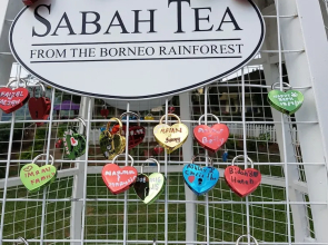 Sabah Tea Resort