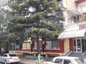 Apartment Goran and Milena