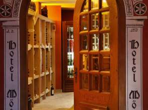 Hotel Alp Wellness Mota