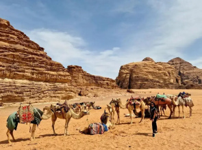 Wadi rum Aviva camp