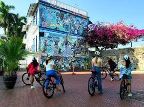 Citrus Studio By Paradox