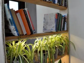 Funky Nest - A cozy apartment in Zipari