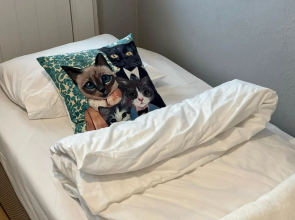 Central Spacious 2BR Apartment Fethiye