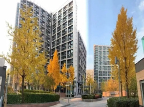 Kumtai-Seasons Park Apart'Hotel