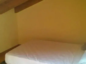 B&B Oasi
