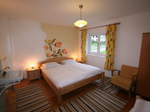 Lovely Pet-friendly Apartment in Hopfgarten