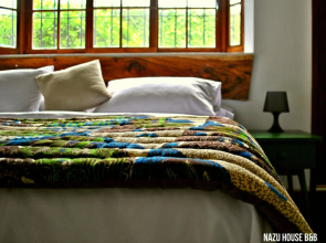 Iguanazu Bed & Breakfast