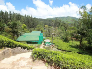 Narra Homestay