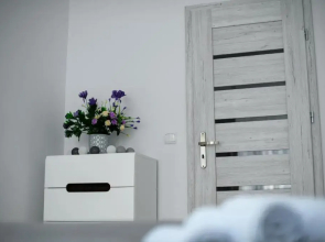 Apartament Przytulny
