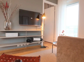 Luxury Business 2 Rooms Apartment up to 3 People By City Living