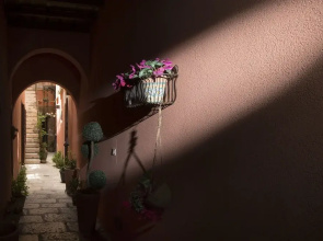 the flowered courtyard srl