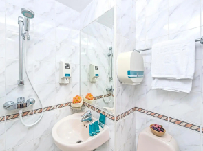 Hotel 81 Orchid