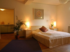 RheinRiver Guesthouse - Direkt am Rhein