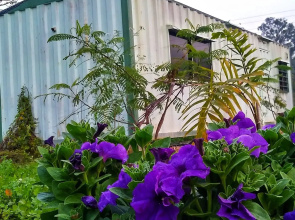 Bhagabatipur Container Stay