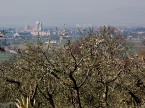 Villa Rosy