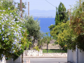 Venetia's Seaside Garden Home