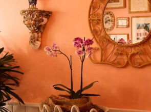 Private Pool Villa at Coral Sands Steps to Pink Sand Beach & Resort Amenities