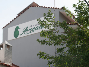 Pension Avocado