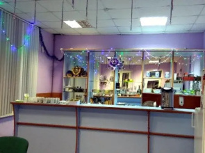 Bor na Volge Hostel