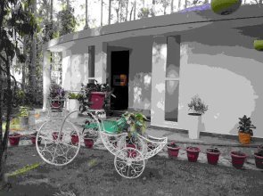 One Piece Homestay