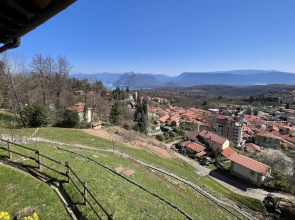 Il Vecchio Faggio