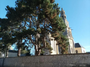 Gites les Pourquoi Pas - Résidence de Tourisme DSV Bayeux
