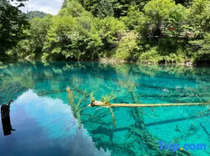 Lixiang·ideal hotel