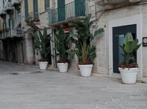 Locus Pendinelli Trani 53-the Philosophy of a B&b, the Details of a Hotel!!!