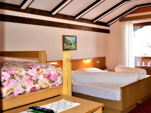 Hotel Stella Alpina