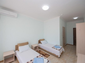 Тургеневский