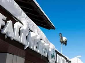 Hotel Falknerei Galina