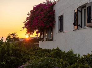 Margarita Apartments