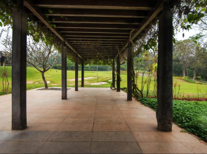 Tranquil Woods By Jade