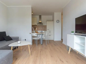 Central Apartment, 55m2, Kitchen, Washer, Netflix, Parking