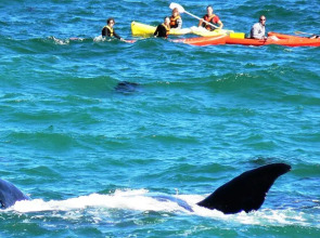 Misty Waves Boutique Hotel