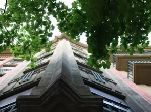 Aloha Hostel