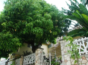 Mango Tree Peaceful Pension