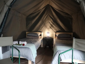 Kruger Park Tours