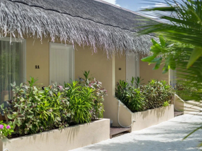 Tropical Village