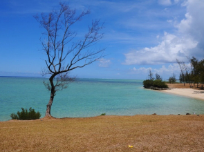 The Kiter's Nest