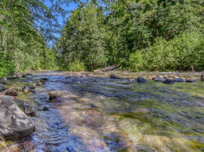 Salmon River Chalet