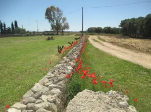 Masseria Coccioli