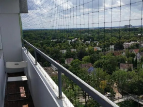 HAUSBURG studio. City view