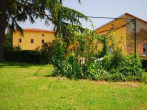 Holiday Apartment Colonna 5