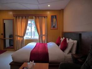 Hotel Village Inn Naran