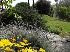 Agrituristica Colleverde