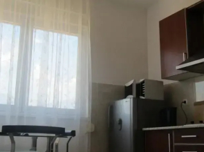 Downtown Studio Apartment