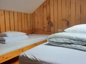L'arche De Noé