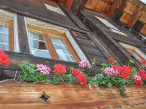 Chalet Heidi