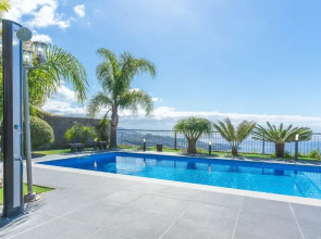 Palm Paradise by Atlantic Holiday